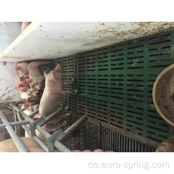 BMC zusammengesetzter Plastiklattenboden für Schweinefarm
